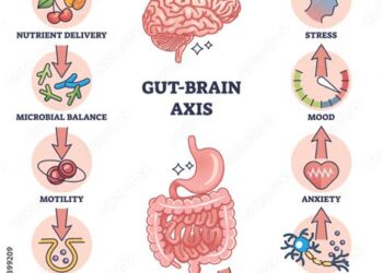 Decoding the Gut-Brain Axis.