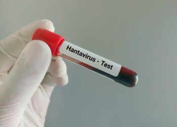 Hantavirus Cruise Ship Outbreak