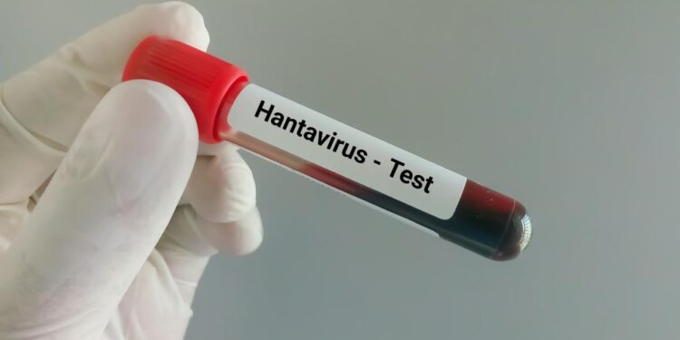 Hantavirus Cruise Ship Outbreak